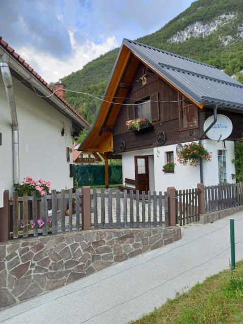 Apartmaji Bohinj Eksteriør billede